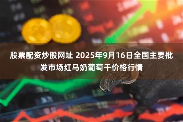 股票配资炒股网址 2025年9月16日全国主要批发市场红马奶葡萄干价格行情