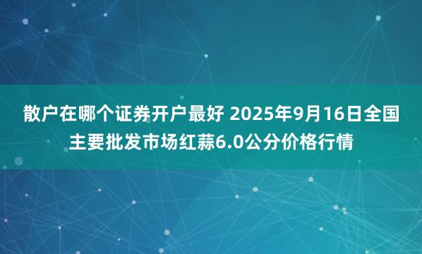 散户在哪个证券开户最好 2025年9月16日全国主要批发市场红蒜6.0公分价格行情